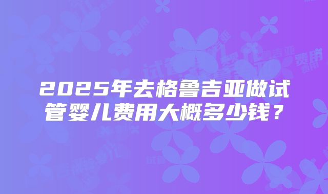 2025年去格鲁吉亚做试管婴儿费用大概多少钱？