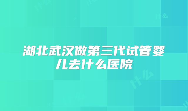 湖北武汉做第三代试管婴儿去什么医院