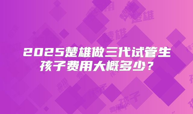 2025楚雄做三代试管生孩子费用大概多少？