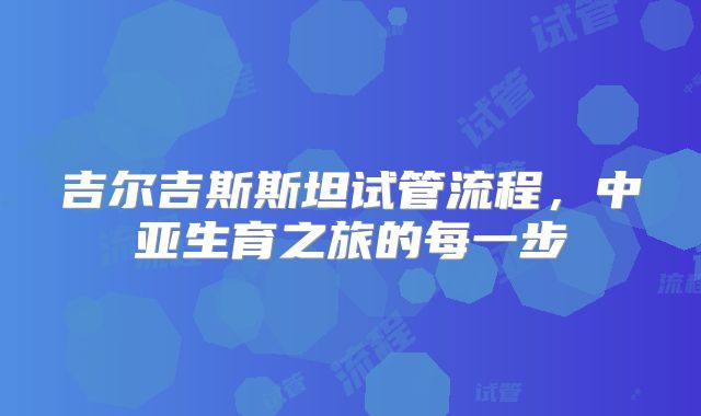 吉尔吉斯斯坦试管流程，中亚生育之旅的每一步