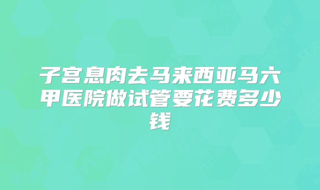 子宫息肉去马来西亚马六甲医院做试管要花费多少钱