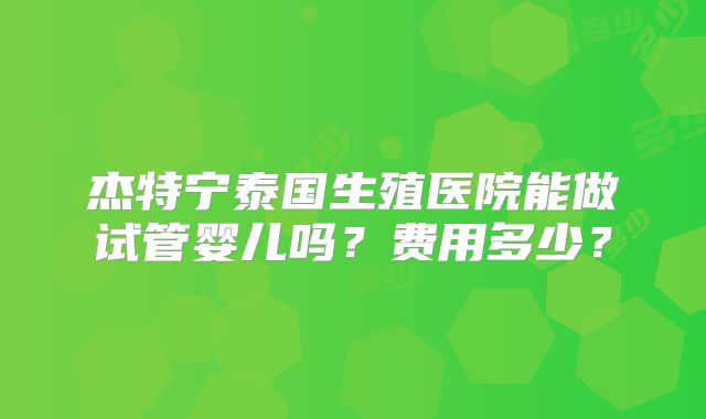 杰特宁泰国生殖医院能做试管婴儿吗？费用多少？