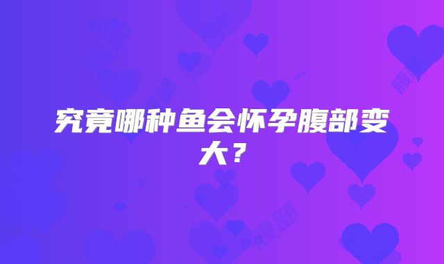 究竟哪种鱼会怀孕腹部变大？