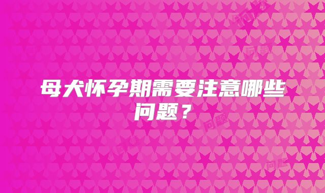 母犬怀孕期需要注意哪些问题？