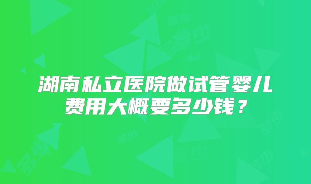 湖南私立医院做试管婴儿费用大概要多少钱？