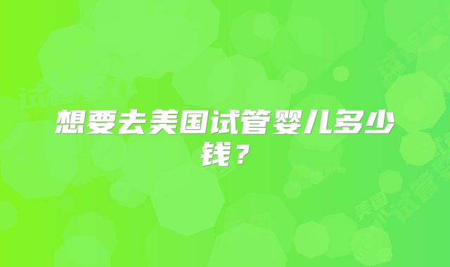 想要去美国试管婴儿多少钱？