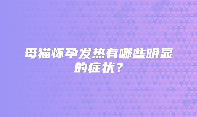 母猫怀孕发热有哪些明显的症状？