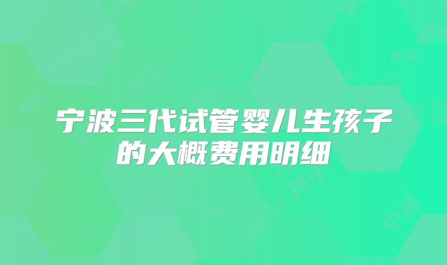 宁波三代试管婴儿生孩子的大概费用明细