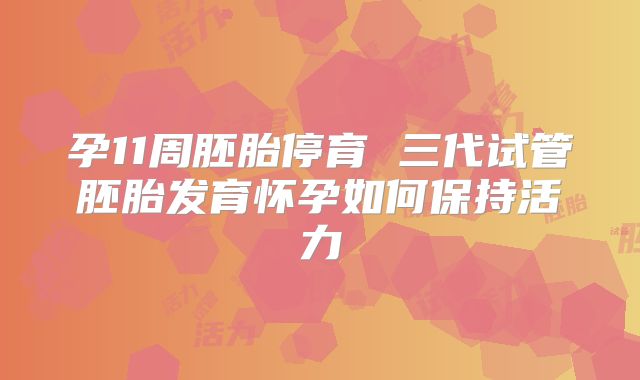 孕11周胚胎停育 三代试管胚胎发育怀孕如何保持活力