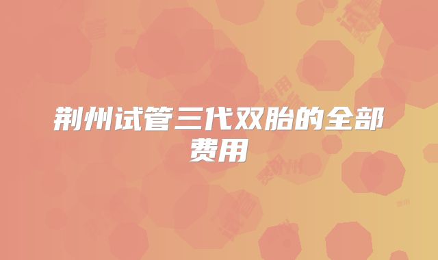 荆州试管三代双胎的全部费用