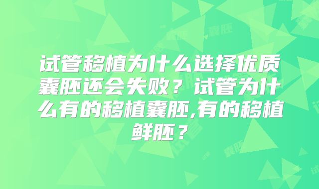 试管移植为什么选择优质囊胚还会失败？试管为什么有的移植囊胚,有的移植鲜胚？
