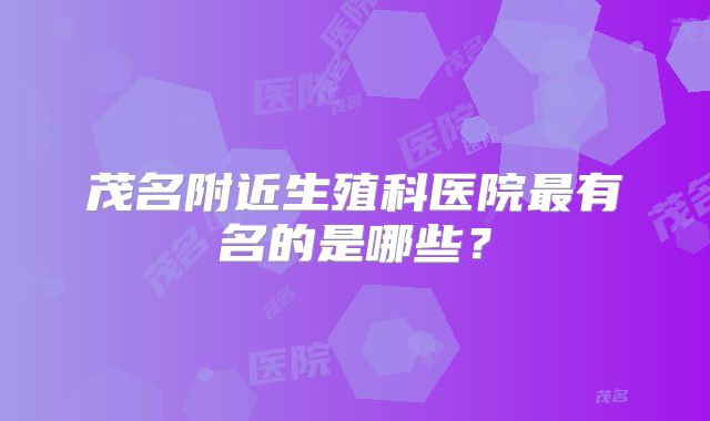 茂名附近生殖科医院最有名的是哪些？