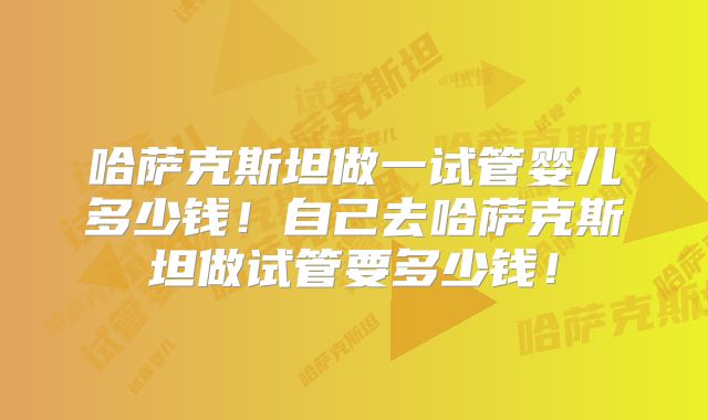 哈萨克斯坦做一试管婴儿多少钱！自己去哈萨克斯坦做试管要多少钱！