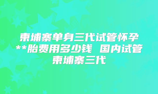 柬埔寨单身三代试管怀孕**胎费用多少钱 国内试管柬埔寨三代