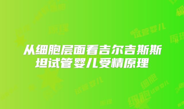 从细胞层面看吉尔吉斯斯坦试管婴儿受精原理