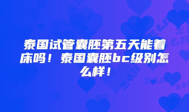 泰国试管囊胚第五天能着床吗!泰国囊胚bc级别怎么样!