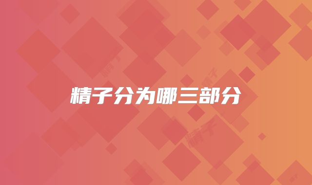 精子分为哪三部分