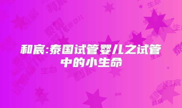 和宸:泰国试管婴儿之试管中的小生命