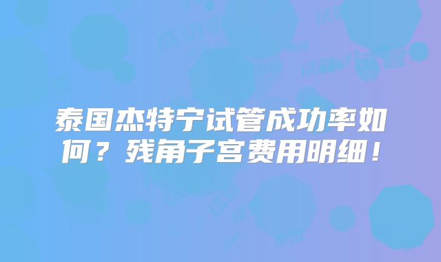泰国杰特宁试管成功率如何?残角子宫费用明细!