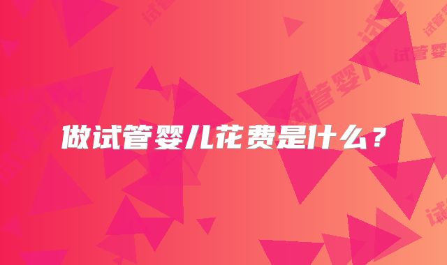 做试管婴儿花费是什么？