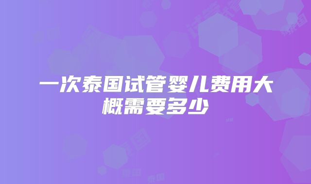 一次泰国试管婴儿费用大概需要多少