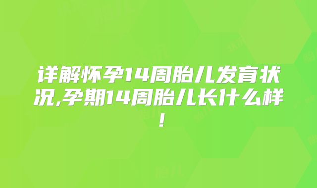 详解怀孕14周胎儿发育状况,孕期14周胎儿长什么样！