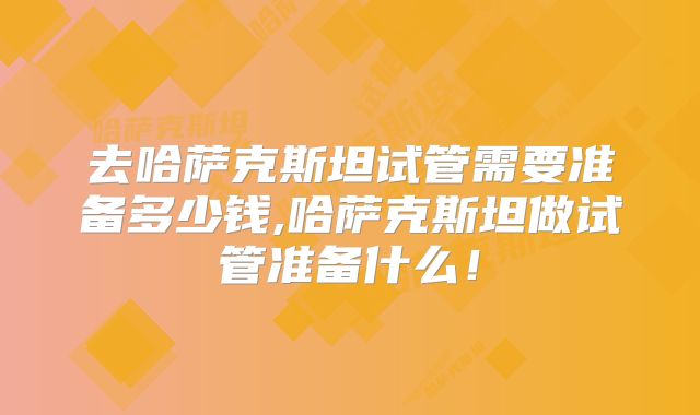 去哈萨克斯坦试管需要准备多少钱,哈萨克斯坦做试管准备什么！