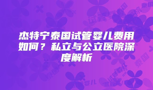 杰特宁泰国试管婴儿费用如何？私立与公立医院深度解析