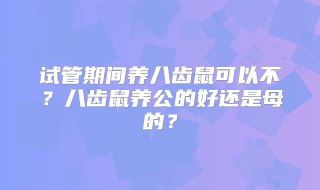 试管期间养八齿鼠可以不？八齿鼠养公的好还是母的？