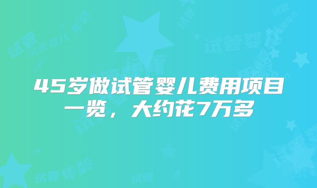 45岁做试管婴儿费用项目一览，大约花7万多