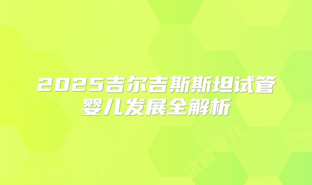 2025吉尔吉斯斯坦试管婴儿发展全解析