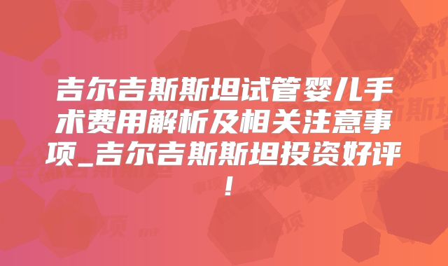 吉尔吉斯斯坦试管婴儿手术费用解析及相关注意事项_吉尔吉斯斯坦投资好评！
