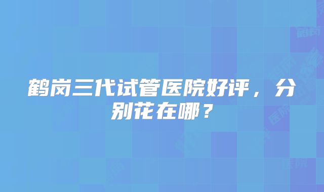 鹤岗三代试管医院好评，分别花在哪？