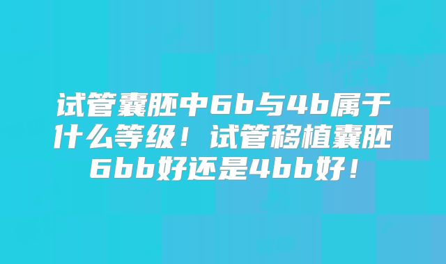 试管囊胚中6b与4b属于什么等级！试管移植囊胚6bb好还是4bb好！