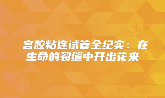 ‌宫腔粘连试管全纪实：在生命的裂缝中开出花来‌