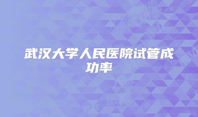 武汉大学人民医院试管成功率
