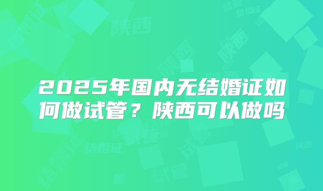 2025年国内无结婚证如何做试管？陕西可以做吗
