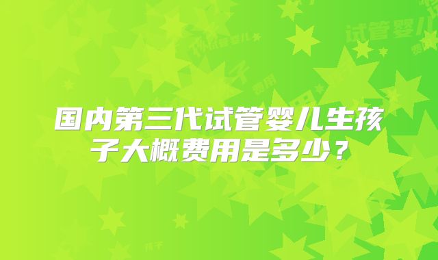国内第三代试管婴儿生孩子大概费用是多少?