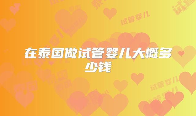 在泰国做试管婴儿大概多少钱