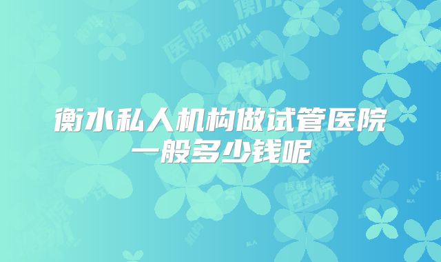 衡水私人机构做试管医院一般多少钱呢
