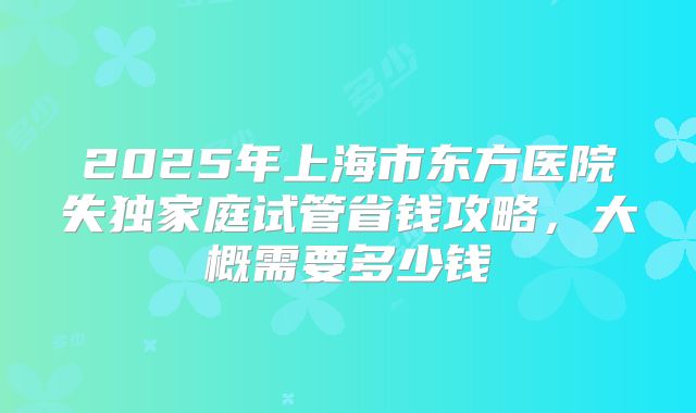 2025年上海市东方医院失独家庭试管省钱攻略，大概需要多少钱