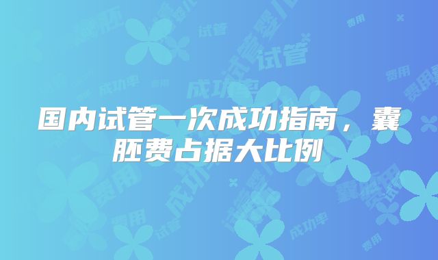国内试管一次成功指南，囊胚费占据大比例