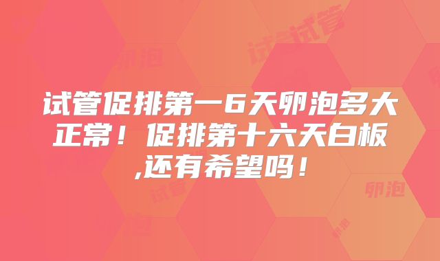 试管促排第一6天卵泡多大正常！促排第十六天白板,还有希望吗！