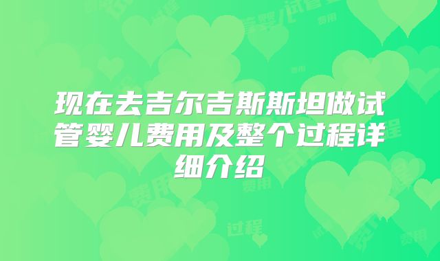 现在去吉尔吉斯斯坦做试管婴儿费用及整个过程详细介绍