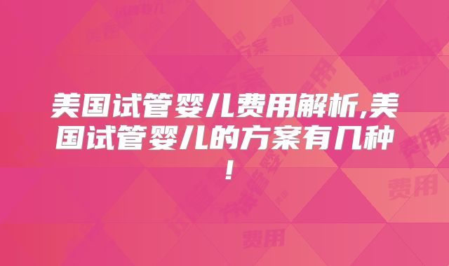 美国试管婴儿费用解析,美国试管婴儿的方案有几种！