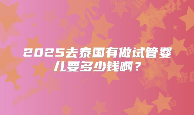2025去泰国有做试管婴儿要多少钱啊？