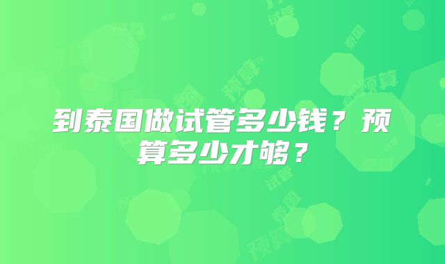 到泰国做试管多少钱？预算多少才够？