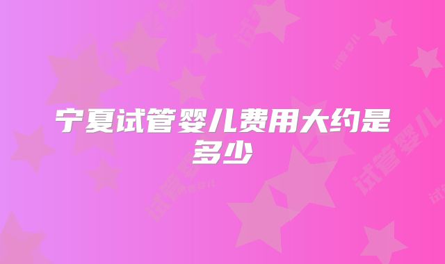 宁夏试管婴儿费用大约是多少