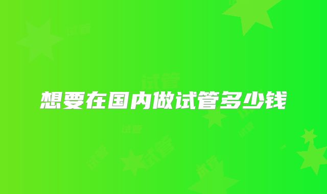 想要在国内做试管多少钱