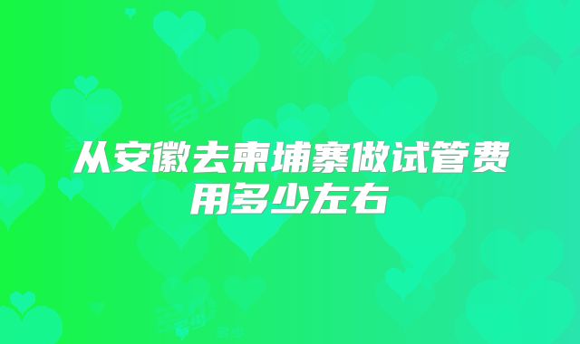 从安徽去柬埔寨做试管费用多少左右